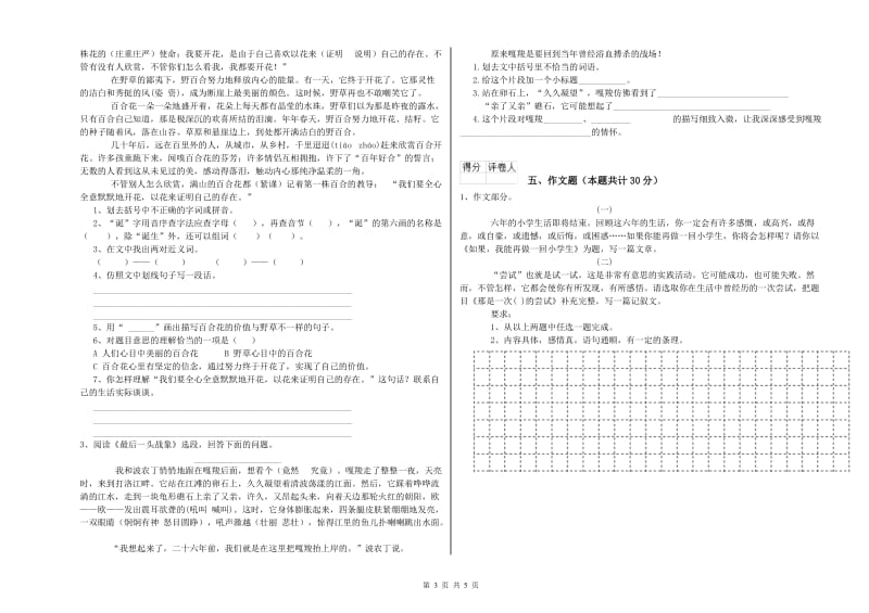 白城市重点小学小升初语文提升训练试卷 含答案.doc_第3页