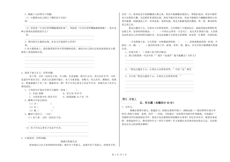 潍坊市重点小学小升初语文过关检测试题 含答案.doc_第3页