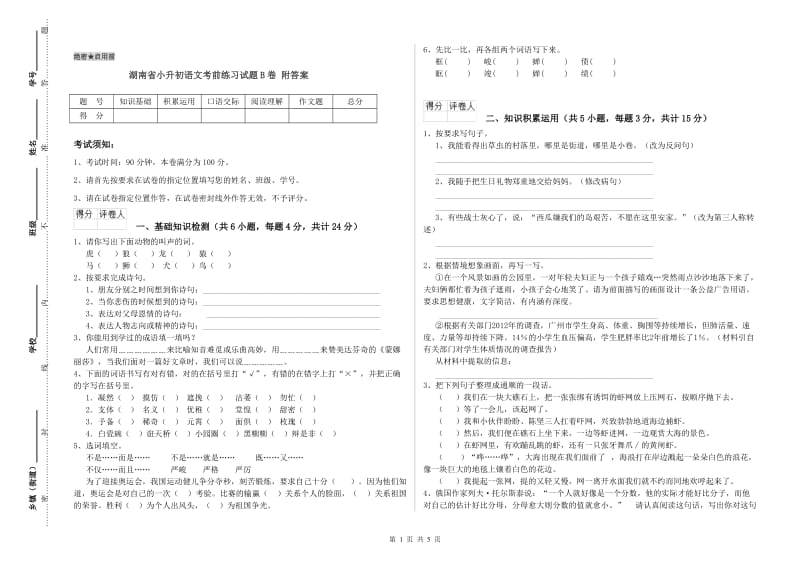 湖南省小升初语文考前练习试题B卷 附答案.doc_第1页