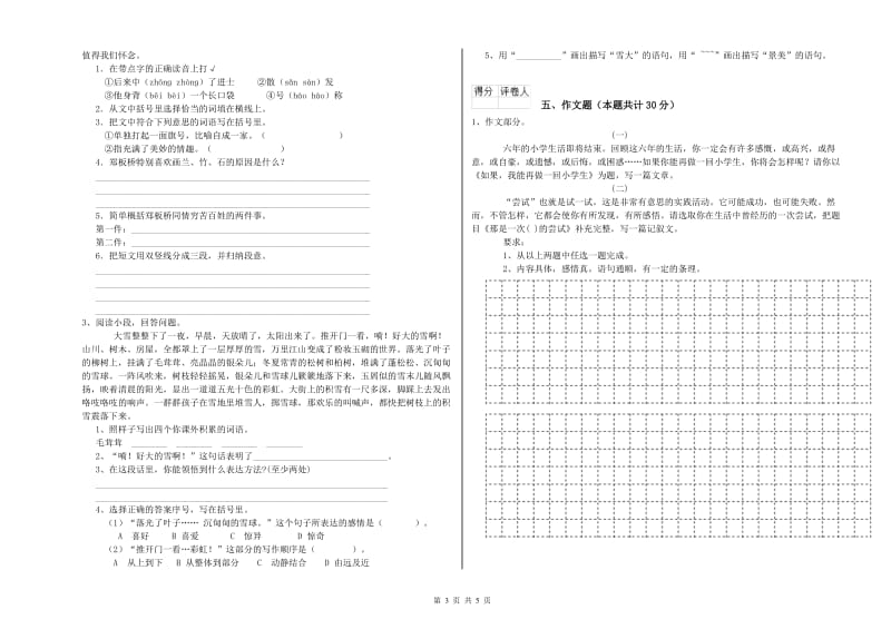 湖南省小升初语文能力测试试卷D卷 含答案.doc_第3页