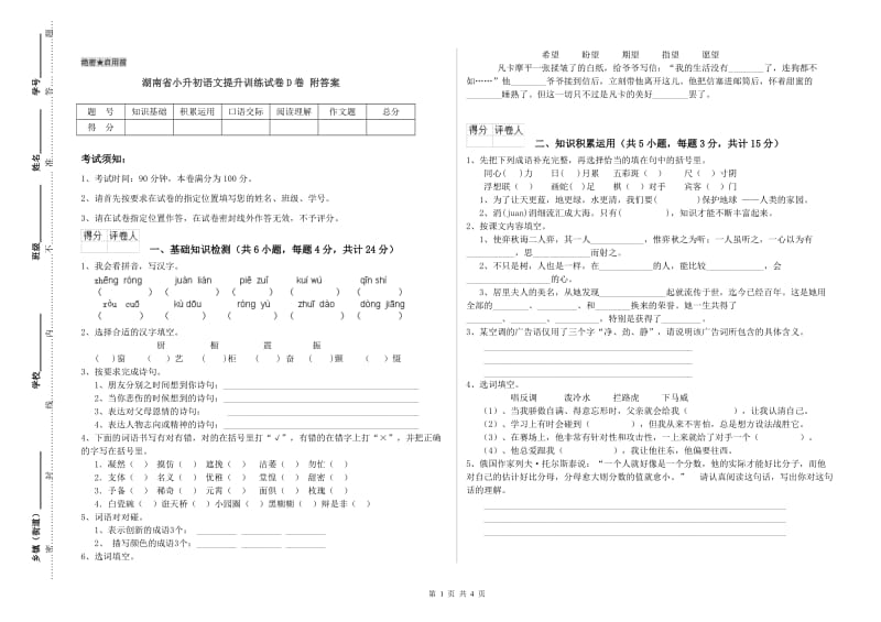 湖南省小升初语文提升训练试卷D卷 附答案.doc_第1页