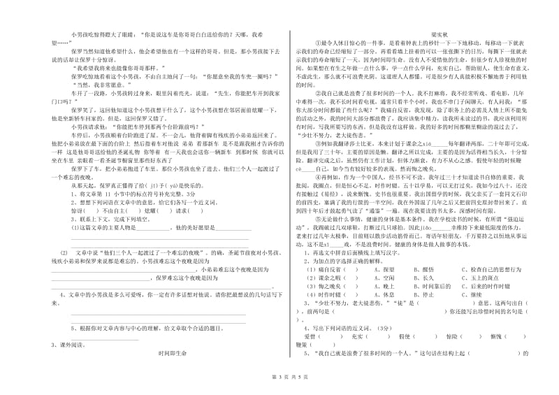 珠海市实验小学六年级语文【下册】过关检测试题 含答案.doc_第3页