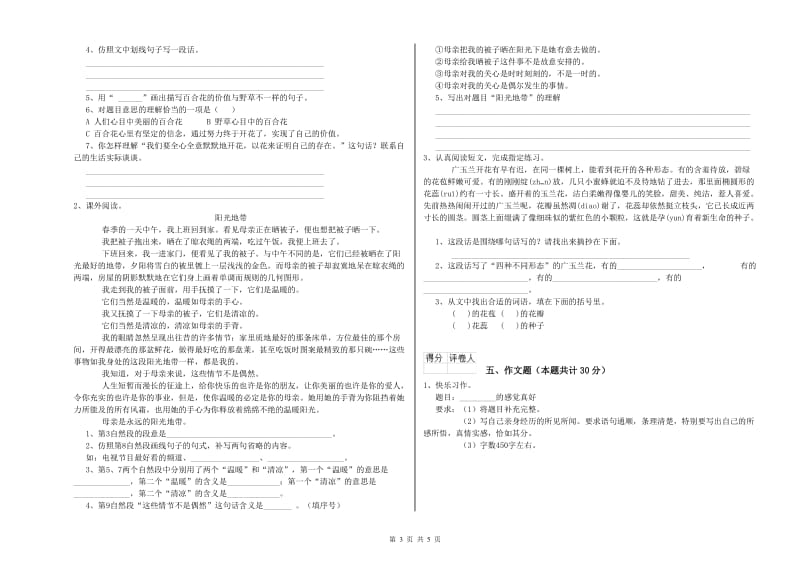 白山市重点小学小升初语文综合检测试卷 附解析.doc_第3页