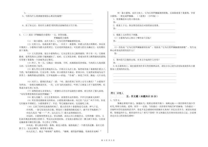 湖北省小升初语文提升训练试卷 附解析.doc_第3页