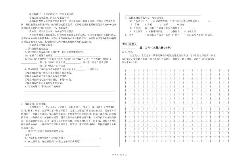 濮阳市实验小学六年级语文【下册】能力检测试题 含答案.doc_第3页