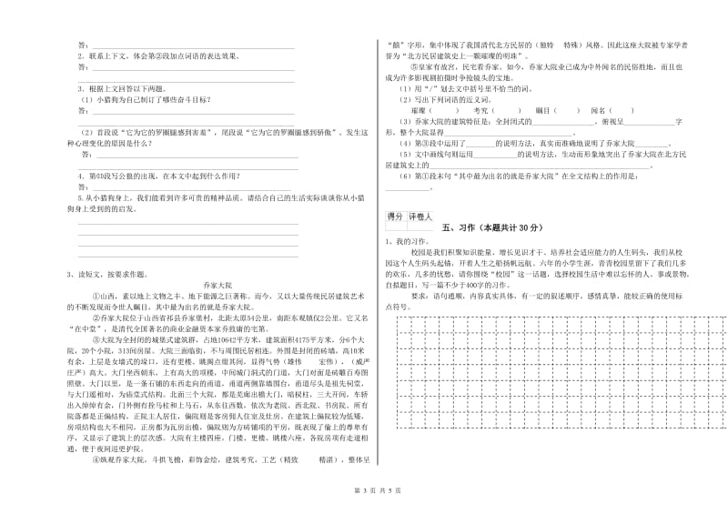 铜陵市实验小学六年级语文下学期考前检测试题 含答案.doc_第3页