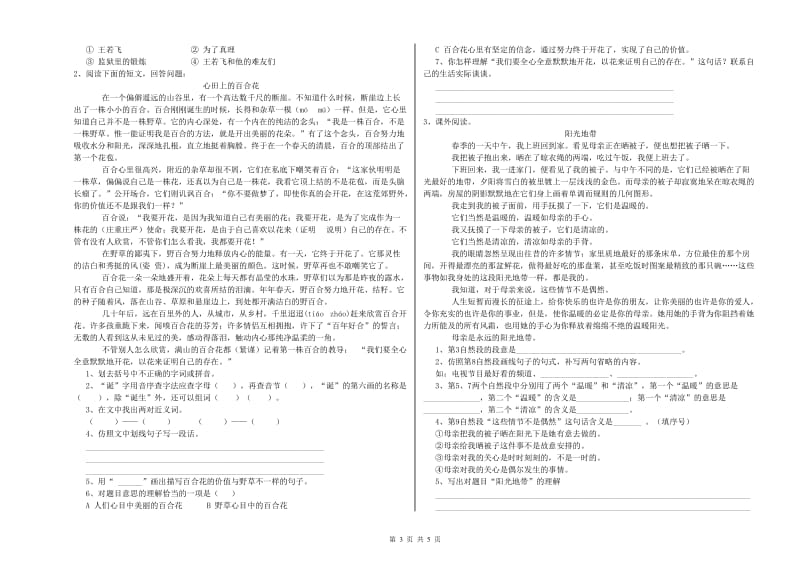 赣州市重点小学小升初语文能力检测试卷 附答案.doc_第3页