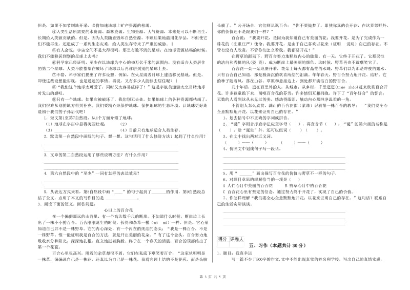 那曲地区实验小学六年级语文下学期提升训练试题 含答案.doc_第3页