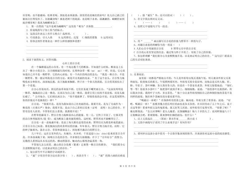 萍乡市重点小学小升初语文提升训练试题 附答案.doc_第3页