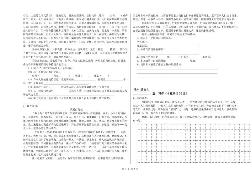 豫教版六年级语文下学期模拟考试试题B卷 附答案.doc_第3页