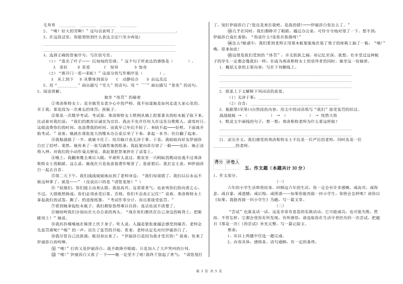 贵州省重点小学小升初语文强化训练试卷C卷 附解析.doc_第3页