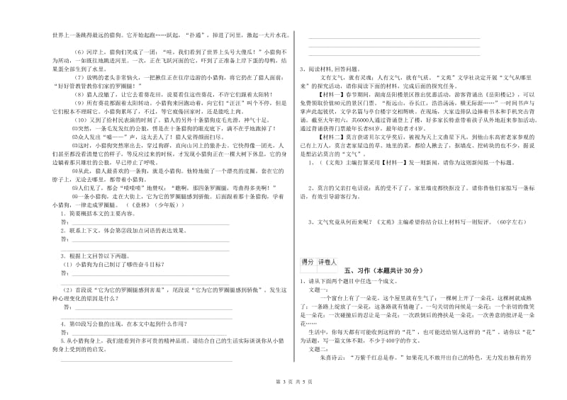 西宁市实验小学六年级语文【下册】期末考试试题 含答案.doc_第3页