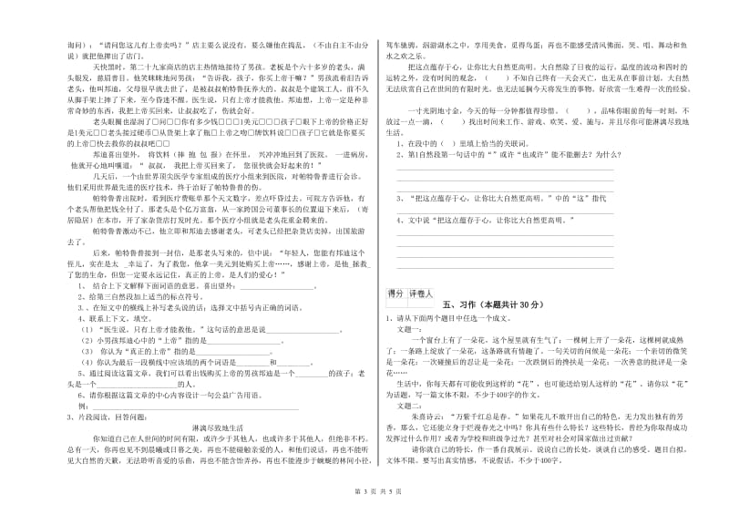 遂宁市实验小学六年级语文【上册】能力提升试题 含答案.doc_第3页