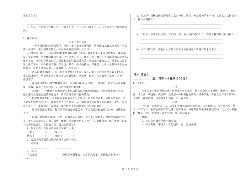 连云港市实验小学六年级语文下学期考前检测试题 含答案.doc_第3页