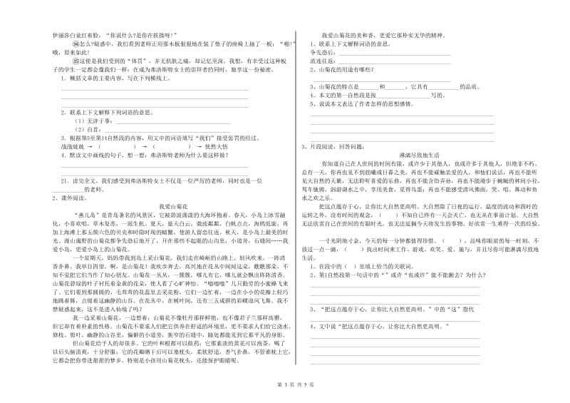 赣州市重点小学小升初语文提升训练试题 附解析.doc_第3页