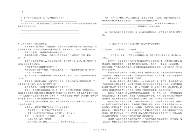 西双版纳傣族自治州重点小学小升初语文全真模拟考试试卷 附答案.doc_第3页