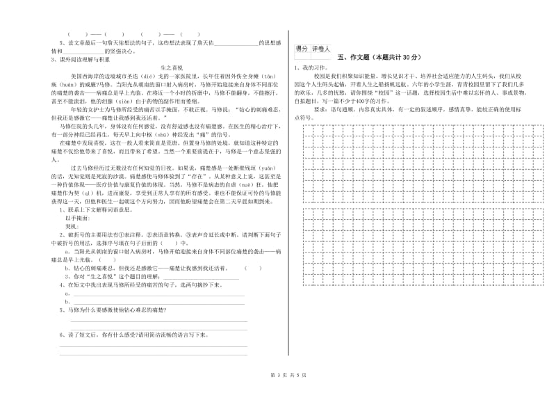 铜川市重点小学小升初语文过关检测试卷 含答案.doc_第3页