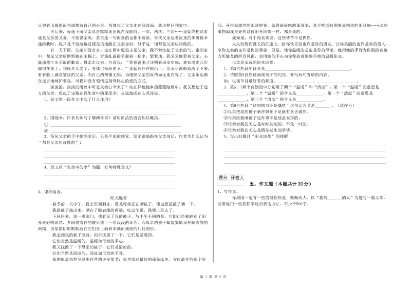 莱芜市重点小学小升初语文强化训练试卷 附解析.doc_第3页