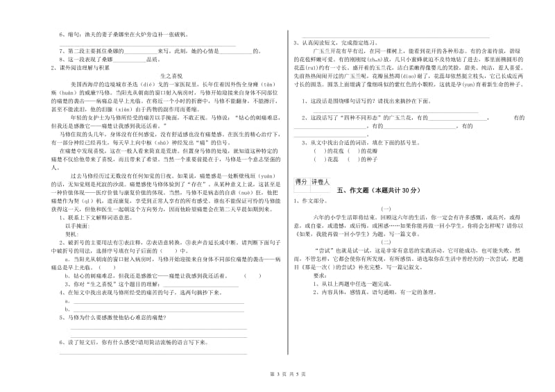 邯郸市重点小学小升初语文能力提升试题 含答案.doc_第3页