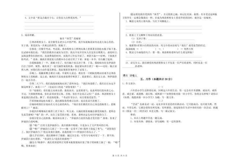 遂宁市实验小学六年级语文下学期能力检测试题 含答案.doc_第3页