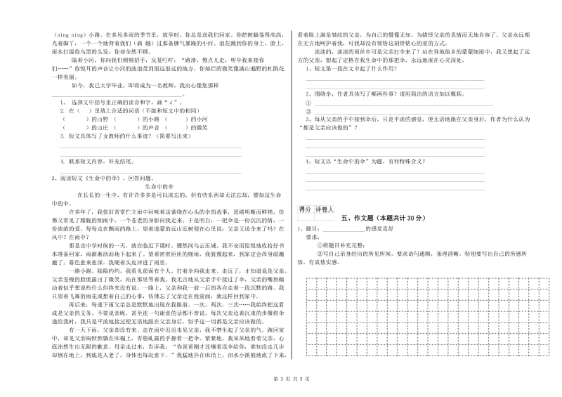 迪庆藏族自治州重点小学小升初语文能力测试试卷 含答案.doc_第3页