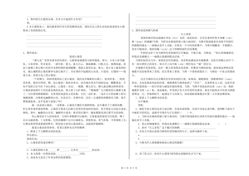 襄阳市重点小学小升初语文能力检测试题 含答案.doc_第3页
