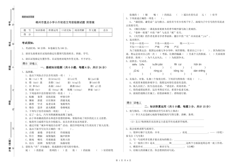 郴州市重点小学小升初语文考前检测试题 附答案.doc_第1页