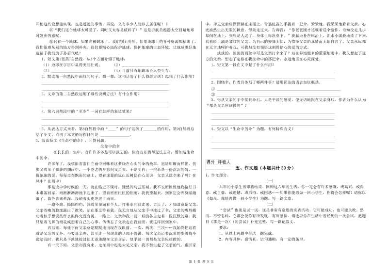 郑州市重点小学小升初语文全真模拟考试试题 含答案.doc_第3页