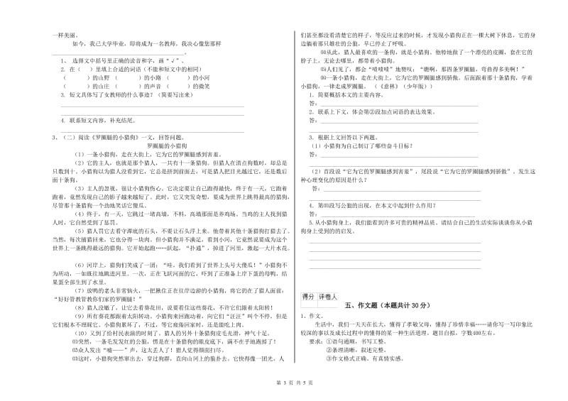 镇江市重点小学小升初语文过关检测试卷 含答案.doc_第3页