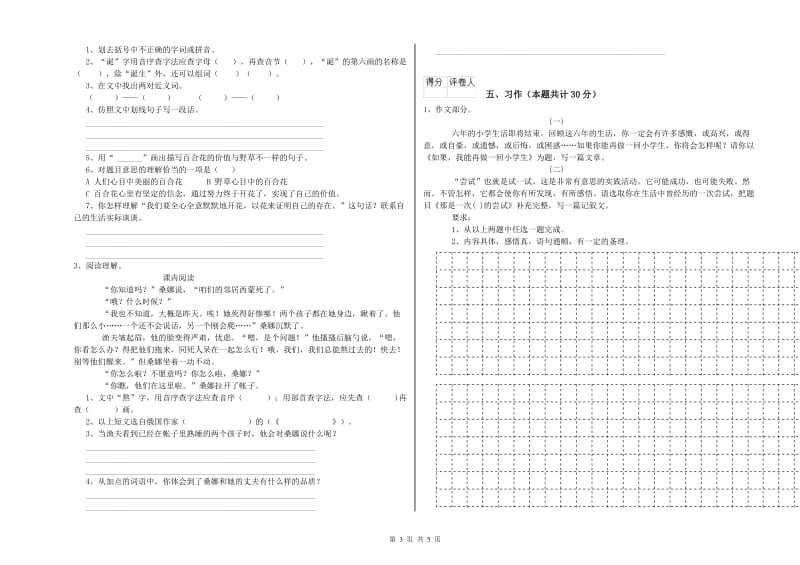 驻马店地区实验小学六年级语文下学期能力测试试题 含答案.doc_第3页