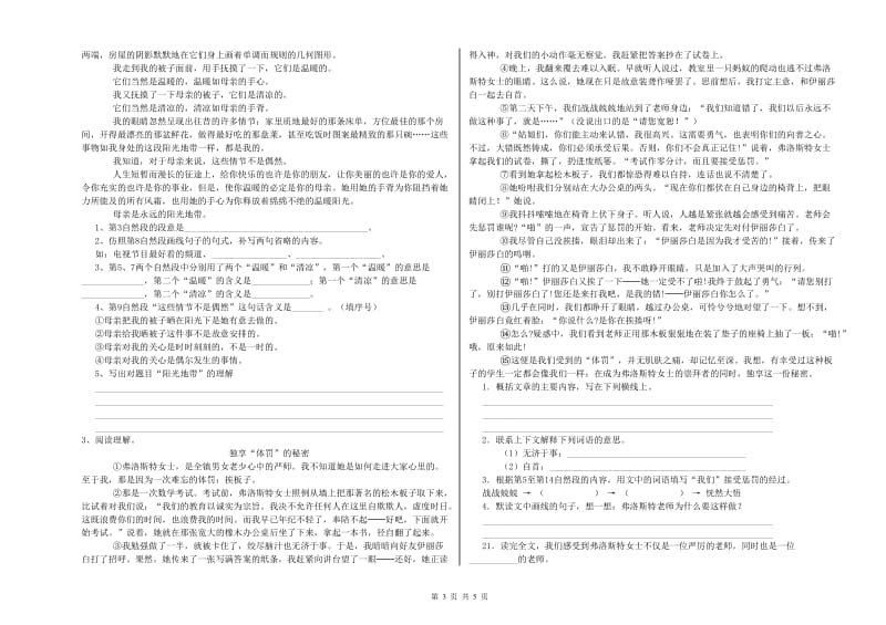 阳江市实验小学六年级语文【下册】综合练习试题 含答案.doc_第3页