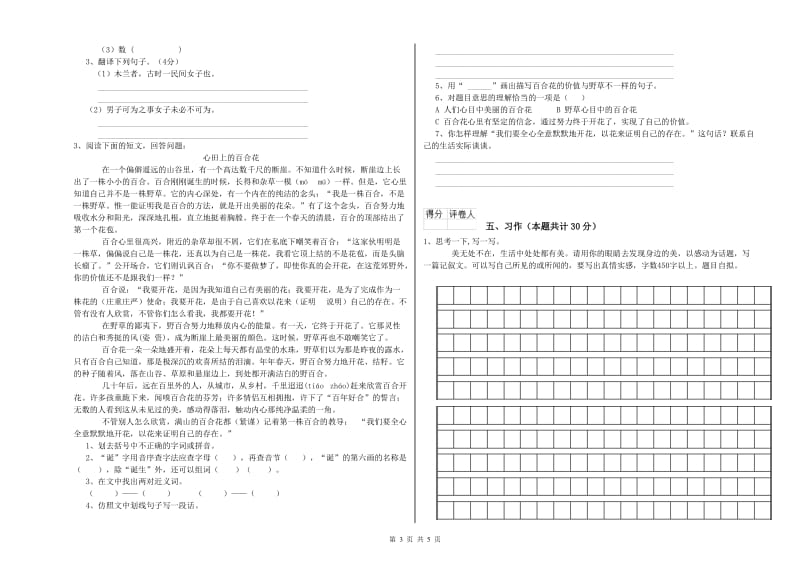 马鞍山市实验小学六年级语文【下册】综合练习试题 含答案.doc_第3页