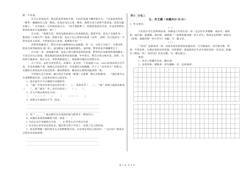 韶关市重点小学小升初语文强化训练试卷 附答案.doc_第3页