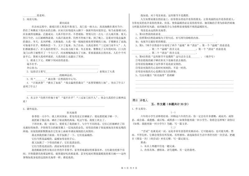 长沙市重点小学小升初语文每日一练试卷 含答案.doc_第3页