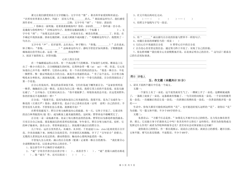 阳江市重点小学小升初语文能力提升试题 附答案.doc_第3页