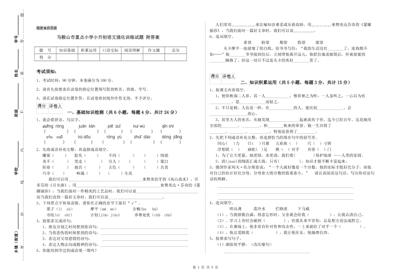 马鞍山市重点小学小升初语文强化训练试题 附答案.doc_第1页