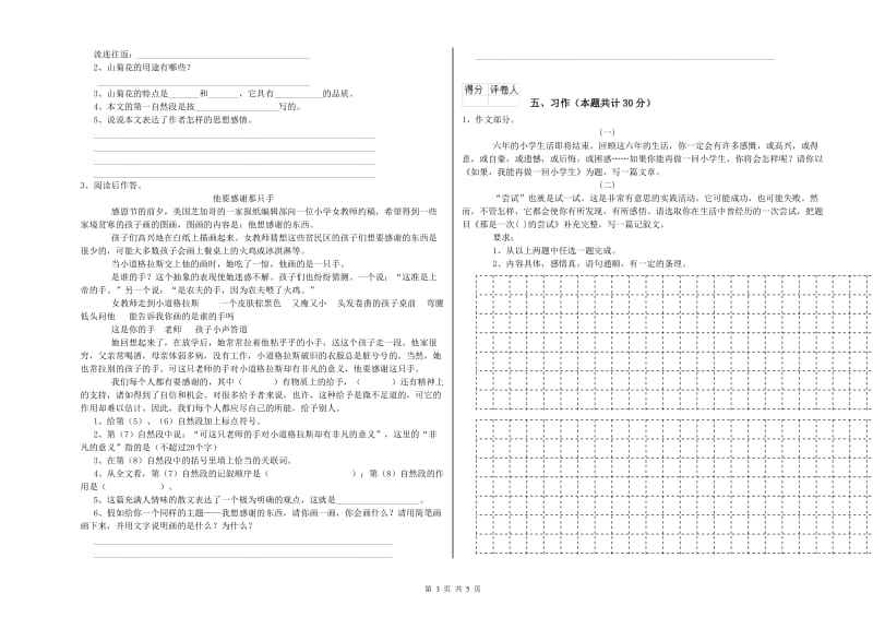 黔南布依族苗族自治州实验小学六年级语文下学期期末考试试题 含答案.doc_第3页