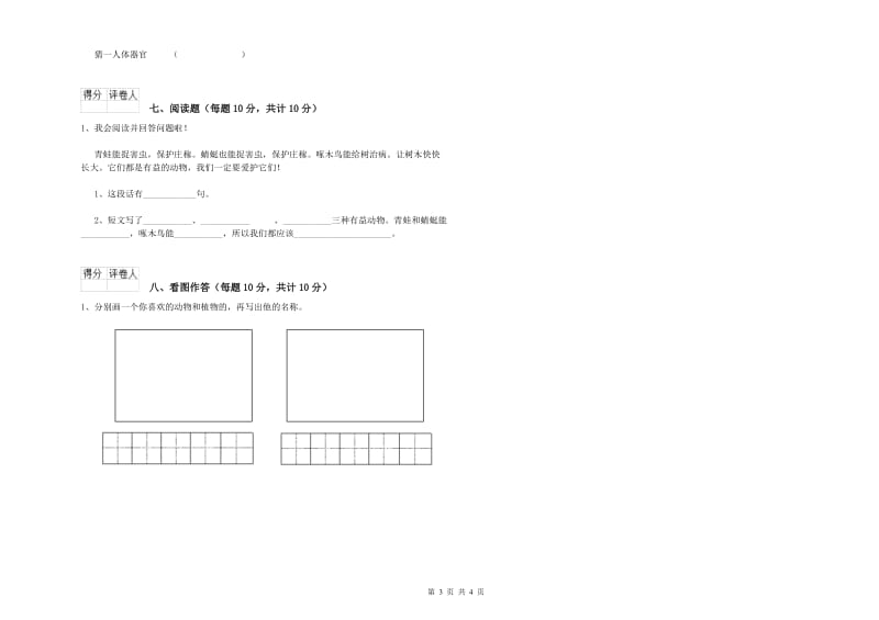 韶关市实验小学一年级语文上学期综合练习试题 附答案.doc_第3页