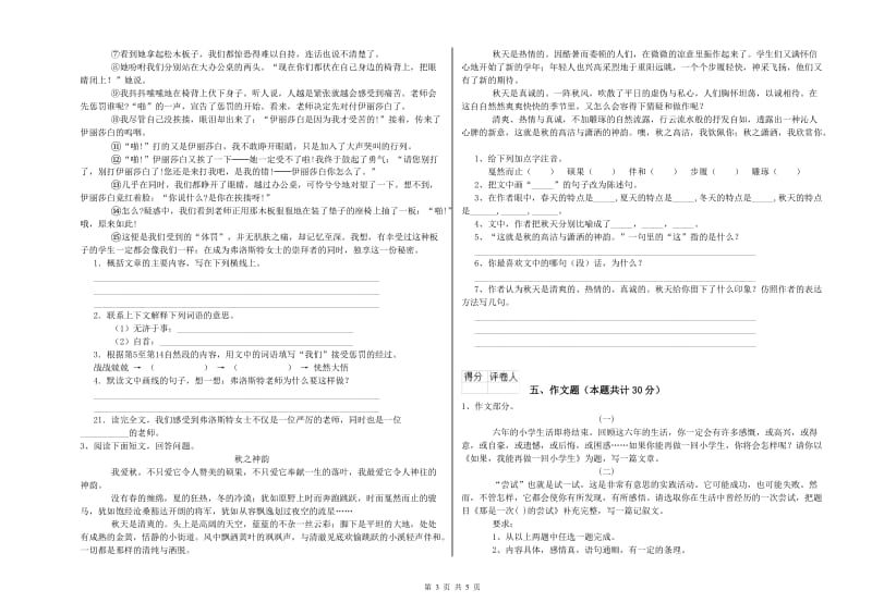 陇南市重点小学小升初语文综合练习试题 含答案.doc_第3页