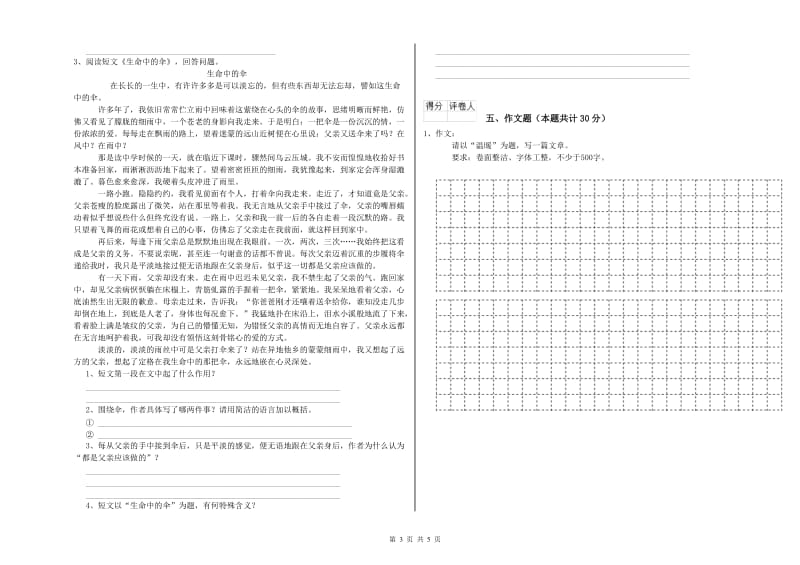 鞍山市重点小学小升初语文过关检测试题 附答案.doc_第3页