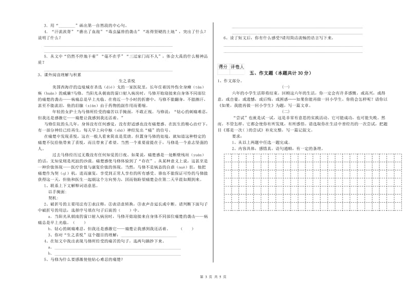 鹤岗市重点小学小升初语文每日一练试卷 附答案.doc_第3页