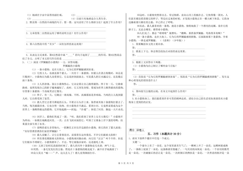 达州市实验小学六年级语文下学期提升训练试题 含答案.doc_第3页