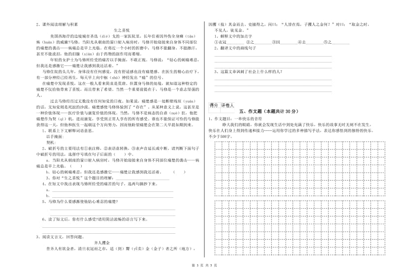 阳江市重点小学小升初语文强化训练试卷 附答案.doc_第3页