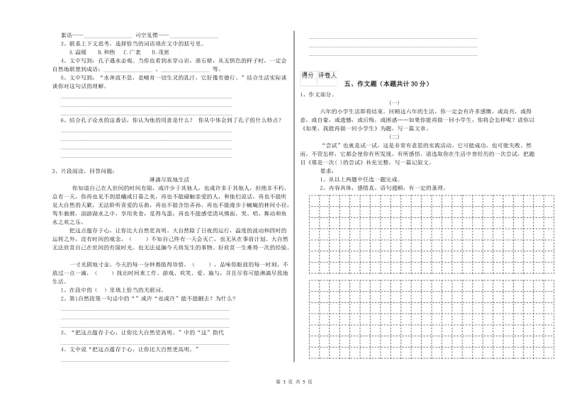 鞍山市重点小学小升初语文能力提升试卷 附解析.doc_第3页