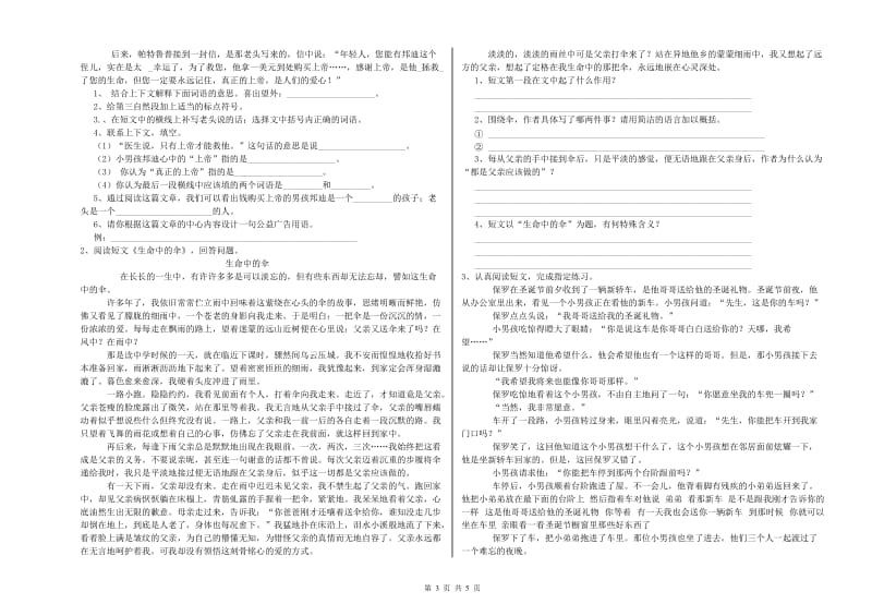 长沙市重点小学小升初语文强化训练试题 附解析.doc_第3页