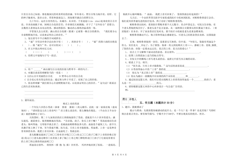 辽宁省重点小学小升初语文模拟考试试卷 含答案.doc_第3页