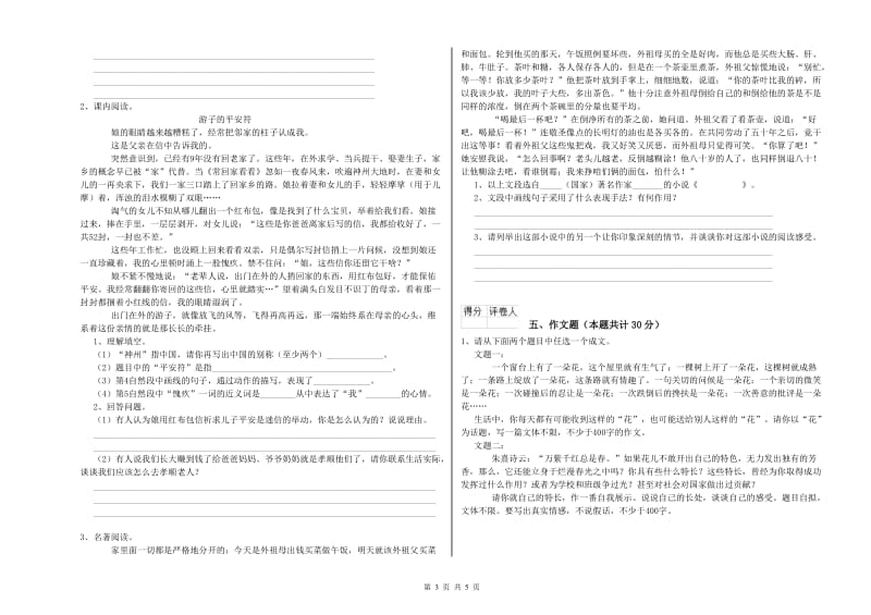 达州市重点小学小升初语文模拟考试试卷 附答案.doc_第3页