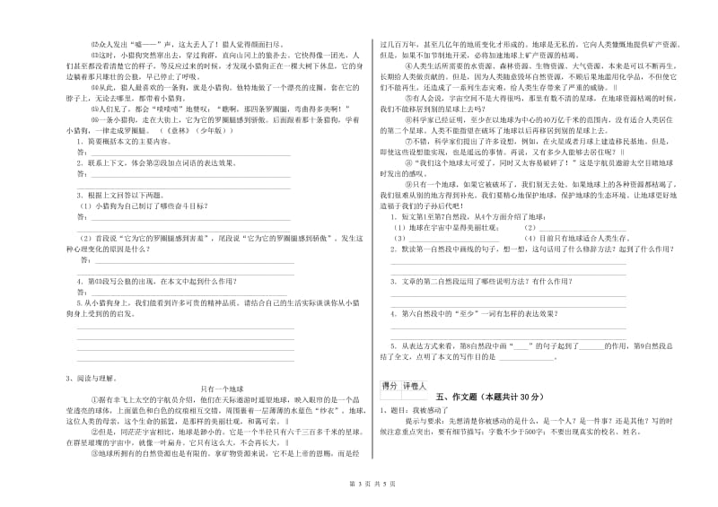 长沙市重点小学小升初语文过关检测试题 含答案.doc_第3页