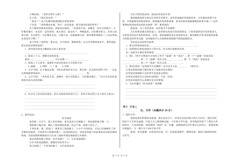 驻马店地区实验小学六年级语文【上册】自我检测试题 含答案.doc_第3页