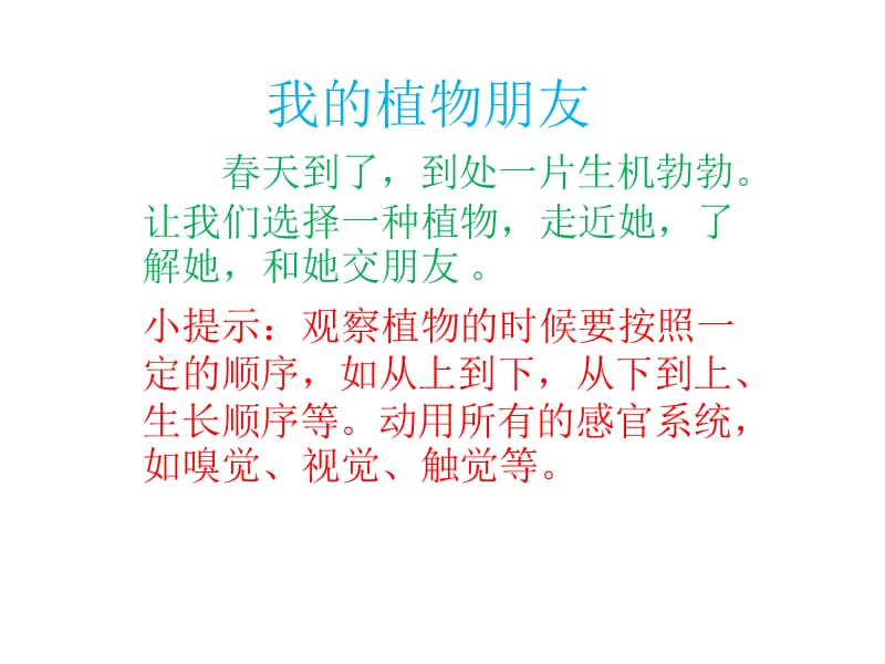 《我的植物朋友》PPT課件.ppt_第1頁